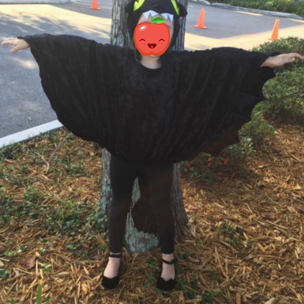 Custom made velvet Toothless dragon costume